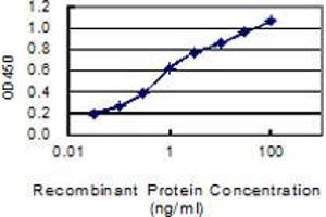 ELISA image for anti-Galactosidase, beta 1 (GLB1) (AA 578-677) antibody (ABIN561048)