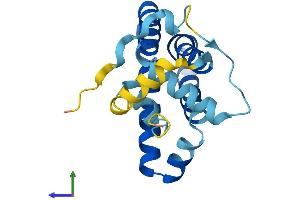 AlphaFold protein structure predicition of Human Recombinant PRAF2 Protein, UniprotID O60831