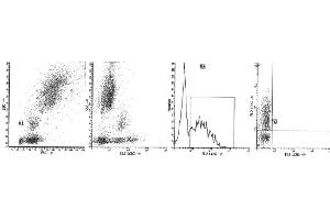 Image no. 1 for anti-CD38 antibody (ABIN1106330) (CD38 Antikörper)