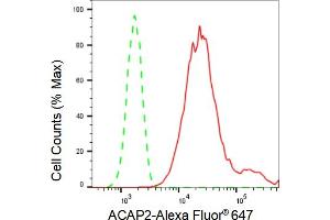 Flow cytometric analysis of ACAP2 expression in HT- cells using ACAP2 antibody (ABIN7797642), 1:2,000). (Rekombinanter Centaurin beta 2 Antikörper)