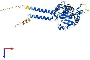 MPPE1 Protein (AA 1-396) (His tag)