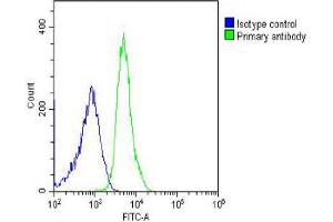 Overlay histogram showing U-2OS cells stained with Antibody (green line). (HRPT2 Antikörper  (AA 132-161))