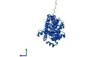 Protein Structure (PS) image for Transaldolase 1 (TALDO1) (AA 1-337) protein (His tag) (ABIN7560287)