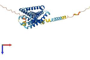MRGPRX2 Protein (AA 1-330) (His tag)