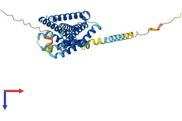 MRGPRX2 Protein (AA 1-330) (His tag)