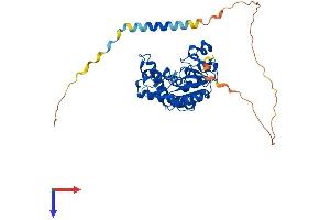 HS3ST3B1 Protein (AA 1-390) (His tag)