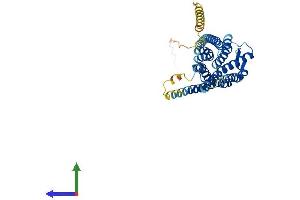 Protein Structure (PS) image for Neuropeptide S Receptor 1 (NPSR1) (AA 1-371) protein (His tag) (ABIN7559052)