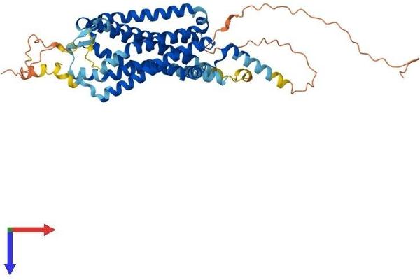GPR39 Protein (AA 1-456) (His tag)