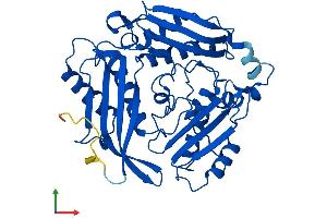 Protein Structure (PS) image for Methionine Adenosyltransferase II, alpha (MAT2A) (AA 1-395) protein (His tag) (ABIN7549384)