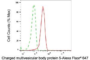 Flow cytometric analysis of Charged multivesicular body protein 5 expression in HepG2 cells using Charged multivesicular body protein 5 antibody (ABIN7798033), 1:1,000). (CHMP5 Antikörper)