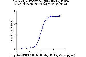 Immobilized Cynomolgus FGFR2 beta (IIIb), His Tag at 0.
