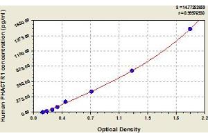 Typical Standard Curve (PHACTR1 ELISA Kit)