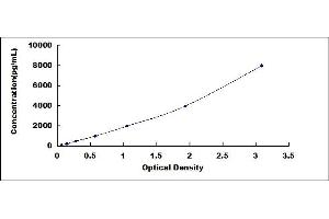 Typical standard curve