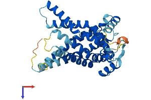 SLC25A17 Protein (AA 1-307) (His tag)