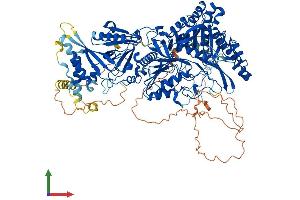 AlphaFold protein structure predicition of Human Recombinant PLD1 Protein, UniprotID Q13393