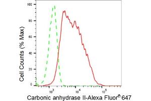 Flow cytometric analysis of Carbonic anhydrase II expression in HeLa cells using Carbonic anhydrase II antibody (ABIN7797868), 1:2,000). (Rekombinanter CA2 Antikörper)