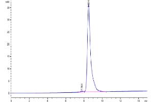 Size-exclusion chromatography-High Pressure Liquid Chromatography (SEC-HPLC) image for V-Set and Immunoglobulin Domain-Containing Protein 4 (VSIG4) (AA 25-288) protein (His tag) (ABIN7275842)