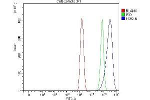 Flow Cytometry analysis of HEPA1-6 cells using anti-FXR2 antibody (ABIN7600138).
