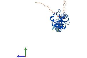 Protein Structure (PS) image for CD209a Antigen (CD209A) (AA 1-238) protein (His tag) (ABIN7560165)
