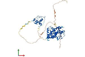 Protein Structure (PS) image for Retinoic Acid Receptor, gamma (RARG) (AA 1-458) protein (His tag) (ABIN7562933)