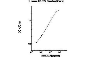 ELISA image for Heat Shock Protein 27 (HSP27) ELISA Kit (ABIN612709) (HSP27 ELISA Kit)