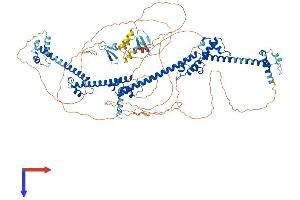 PRPF40A Protein (AA 1-957) (His tag)
