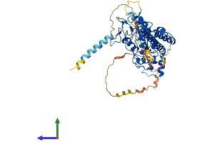 Protein Structure (PS) image for Heparan Sulfate 6-O-Sulfotransferase 3 (HS6ST3) (AA 1-471) protein (His tag) (ABIN7548257)