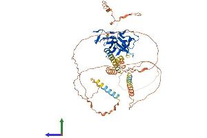 AlphaFold protein structure predicition of Mouse Recombinant Prdm11 Protein, UniprotID A2AGX3