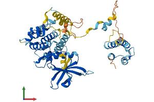 Protein Structure (PS) image for Mitogen-Activated Protein Kinase-Activated Protein Kinase 5 (MAPKAPK5) (AA 1-473) protein (His tag) (ABIN7562463)