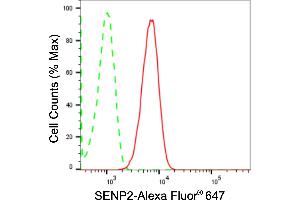 Flow cytometric analysis of SENP2 expression in HT- cells using SENP2 antibody (ABIN7800976), 1:2,000). (Rekombinanter SUMO Specific Peptidase 2 Antikörper)