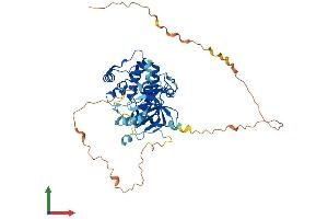 Protein Structure (PS) image for Ribosomal Protein S6 Kinase, 70kDa, Polypeptide 2 (RPS6KB2) (AA 1-482) protein (His tag) (ABIN7548945)