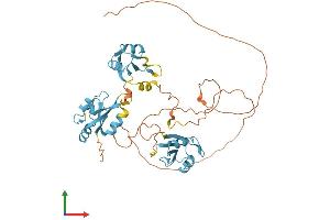 Protein Structure (PS) image for Heterogeneous Nuclear Ribonucleoprotein H2 (H') (HNRNPH2) (AA 1-449) protein (His tag) (ABIN7556700)