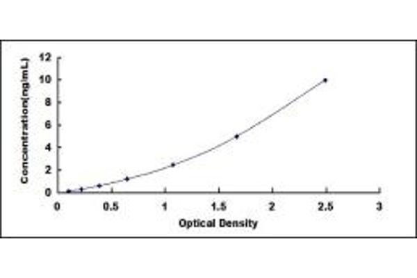 FGFR3 ELISA Kit