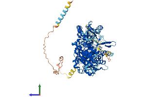 Protein Structure (PS) image for Exostosin 1 (EXT1) (AA 1-746) protein (His tag) (ABIN7553888)