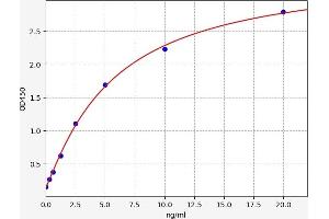 LIG3 ELISA Kit