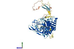 AlphaFold protein structure predicition of Human Recombinant PGBD3 Protein, UniprotID Q8N328