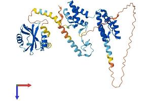 PNMA3 Protein (AA 1-466) (His tag)