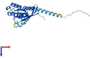 RAB15 Protein (AA 1-212) (His tag)