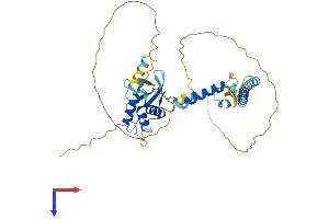 SEC62 Protein (AA 1-398) (His tag)