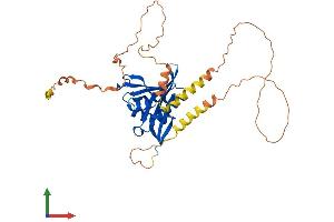AlphaFold protein structure predicition of Mouse Recombinant Naa30 Protein, UniprotID Q8CES0
