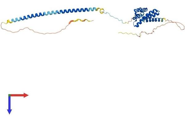 CDC37L1 Protein (AA 1-335) (His tag)