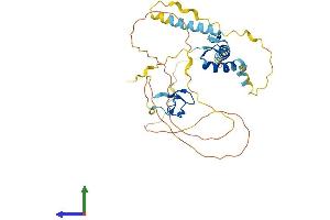 AlphaFold protein structure predicition of Human Recombinant ZC2HC1A Protein, UniprotID Q96GY0