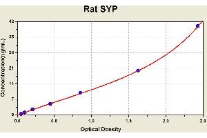 Diagramm of the ELISA kit to detect Rat SYPwith the optical density on the x-axis and the concentration on the y-axis.