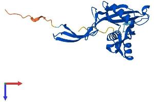 NUDT5 Protein (AA 1-219) (His tag)