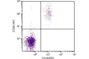 Human peripheral blood lymphocytes were stained with Mouse Anti-Human CD20-APC. (CD20 Antikörper  (APC))