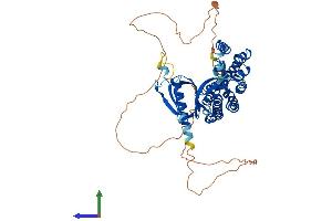 AlphaFold protein structure predicition of Mouse Recombinant Arhgef3 Protein, UniprotID Q91X46 (ARHGEF3 Protein (AA 1-524) (His tag))