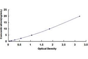 Typical standard curve