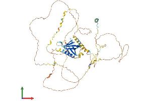Protein Structure (PS) image for GRB2-Associated Binding Protein 3 (GAB3) (AA 1-595) protein (His tag) (ABIN7558856)