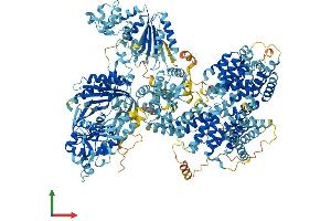 Protein Structure (PS) image for Adenylate Cyclase 10 (Soluble) (ADCY10) (AA 1-1610) protein (His tag) (ABIN7552063)