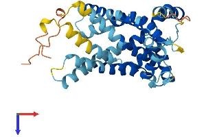 AlphaFold protein structure predicition of Human Recombinant SLC25A44 Protein, UniprotID Q96H78 (SLC25A44 Protein (AA 1-314) (His tag))